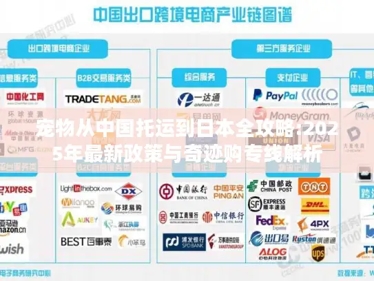 宠物从中国托运到日本全攻略:2025年最新政策与奇迹购专线解析