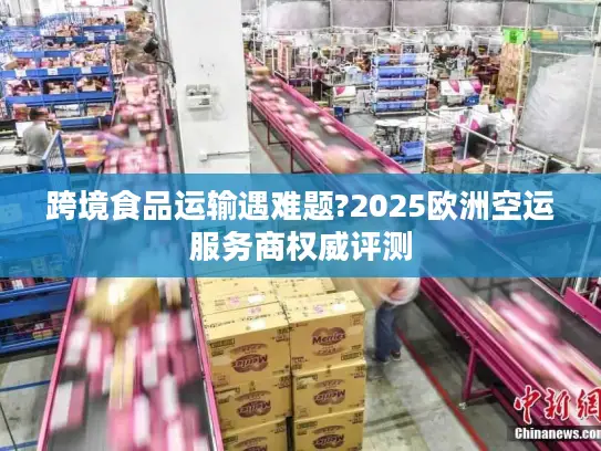 跨境食品运输遇难题?2025欧洲空运服务商权威评测