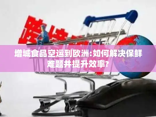 增城食品空运到欧洲:如何解决保鲜难题并提升效率?
