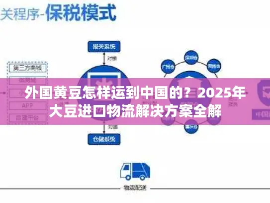 外国黄豆怎样运到中国的？2025年大豆进口物流解决方案全解