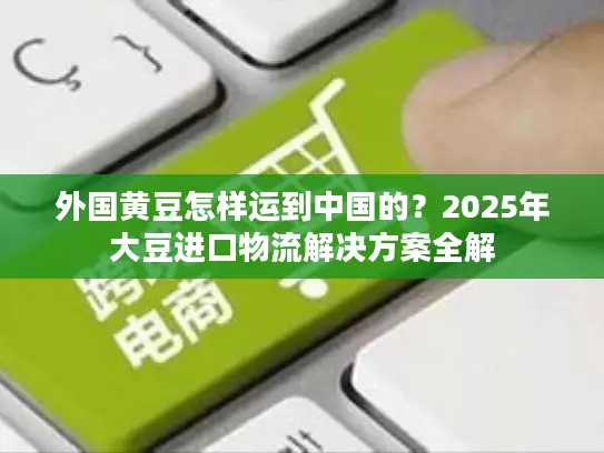外国黄豆怎样运到中国的？2025年大豆进口物流解决方案全解