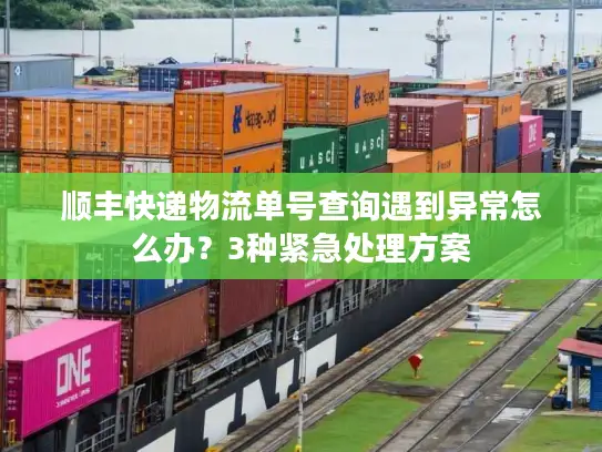 顺丰快递物流单号查询遇到异常怎么办？3种紧急处理方案