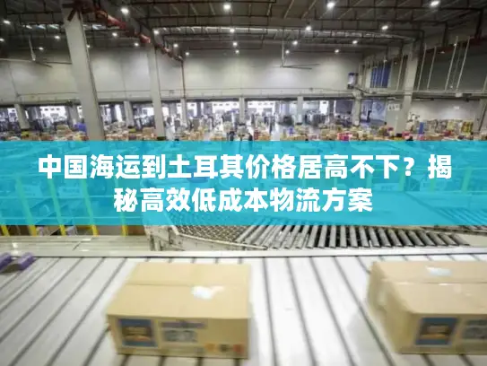 中国海运到土耳其价格居高不下？揭秘高效低成本物流方案