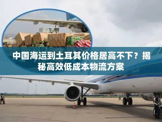 中国海运到土耳其价格居高不下？揭秘高效低成本物流方案
