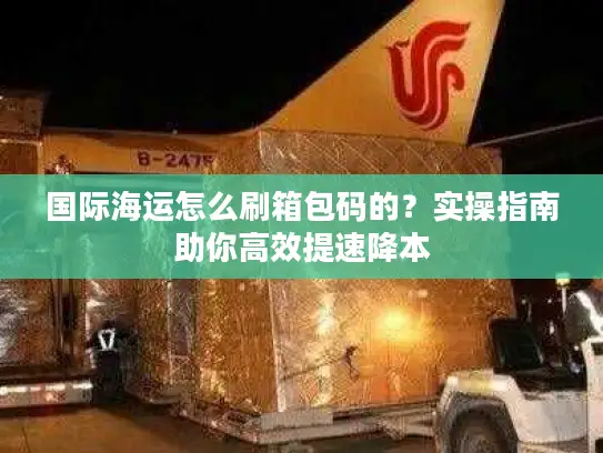 国际海运怎么刷箱包码的？实操指南助你高效提速降本