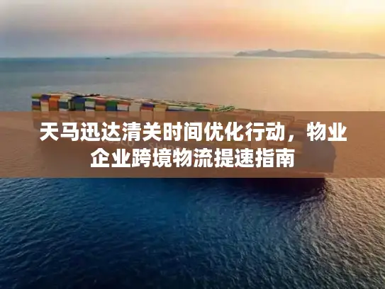 天马迅达清关时间优化行动，物业企业跨境物流提速指南