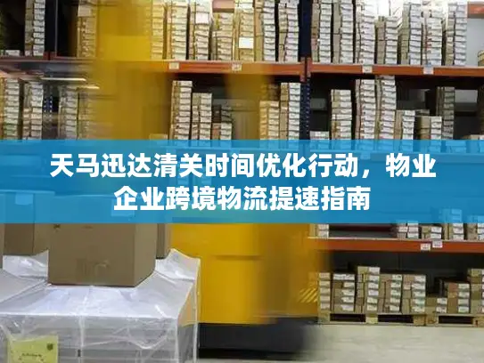 天马迅达清关时间优化行动，物业企业跨境物流提速指南