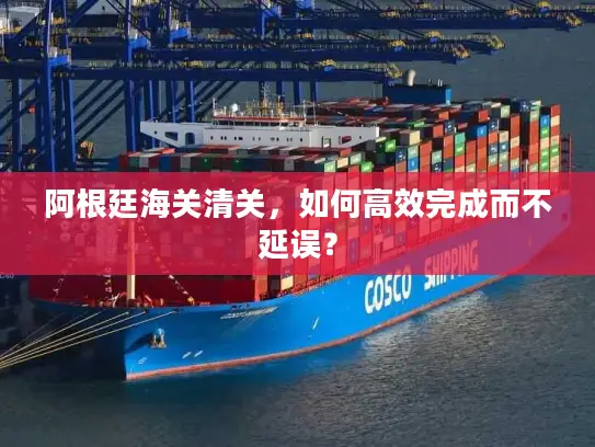 阿根廷海关清关，如何高效完成而不延误？