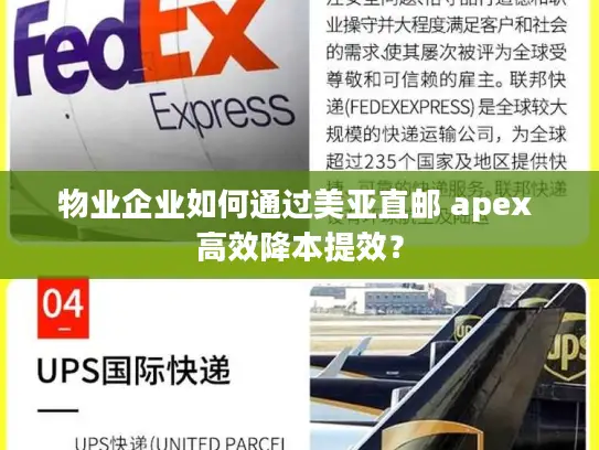物业企业如何通过美亚直邮 apex 高效降本提效？