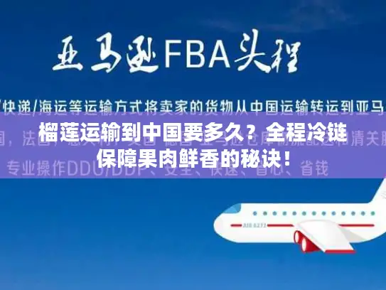 榴莲运输到中国要多久？全程冷链保障果肉鲜香的秘诀！