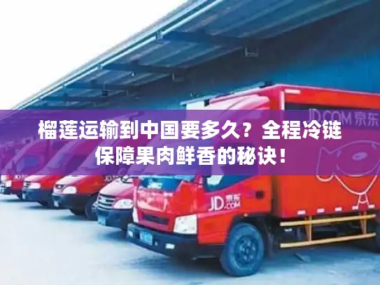 榴莲运输到中国要多久？全程冷链保障果肉鲜香的秘诀！