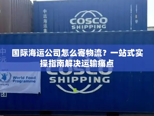 国际海运公司怎么寄物流？一站式实操指南解决运输痛点