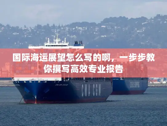 国际海运展望怎么写的啊，一步步教你撰写高效专业报告