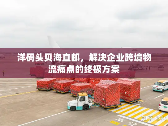 洋码头贝海直邮，解决企业跨境物流痛点的终极方案