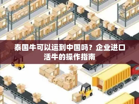 泰国牛可以运到中国吗？企业进口活牛的操作指南