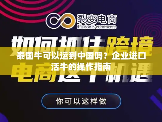 泰国牛可以运到中国吗？企业进口活牛的操作指南