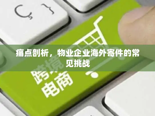痛点剖析，物业企业海外寄件的常见挑战