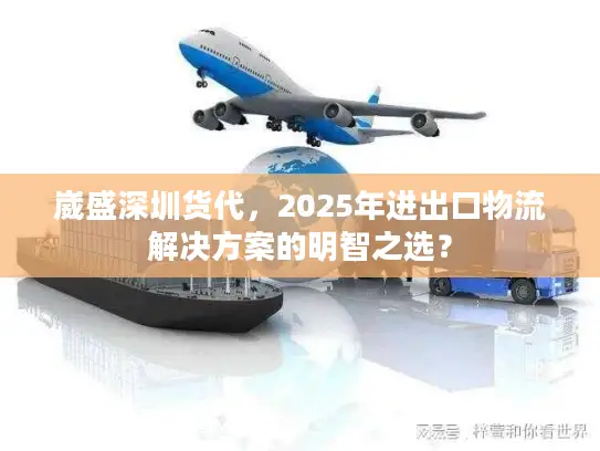 崴盛深圳货代，2025年进出口物流解决方案的明智之选？