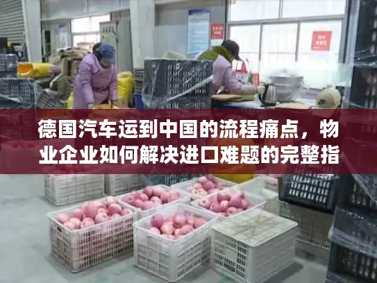 德国汽车运到中国的流程痛点，物业企业如何解决进口难题的完整指南