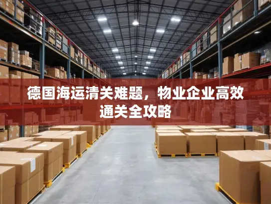 德国海运清关难题，物业企业高效通关全攻略
