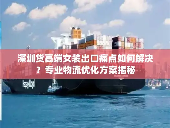 深圳货高端女装出口痛点如何解决？专业物流优化方案揭秘