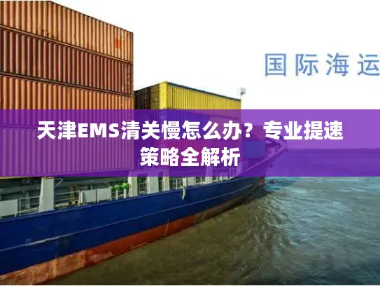 天津EMS清关慢怎么办？专业提速策略全解析