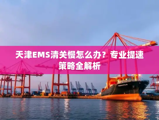 天津EMS清关慢怎么办？专业提速策略全解析