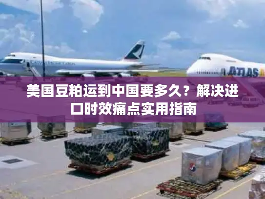 美国豆粕运到中国要多久？解决进口时效痛点实用指南