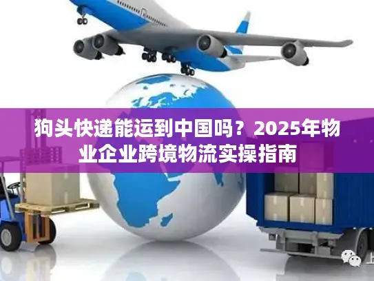狗头快递能运到中国吗？2025年物业企业跨境物流实操指南