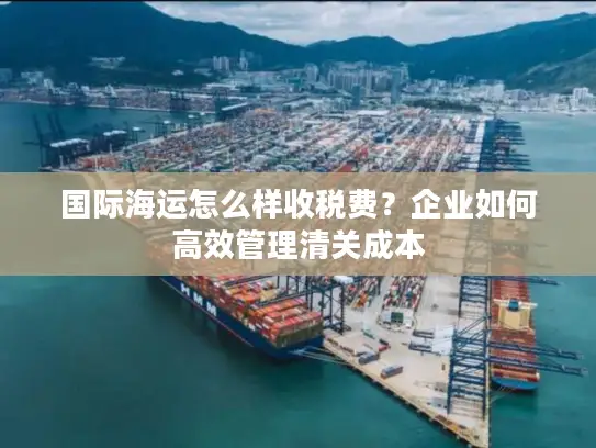 国际海运怎么样收税费？企业如何高效管理清关成本
