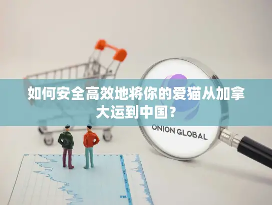 如何安全高效地将你的爱猫从加拿大运到中国？