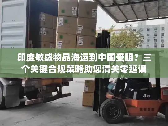 印度敏感物品海运到中国受阻？三个关键合规策略助您清关零延误