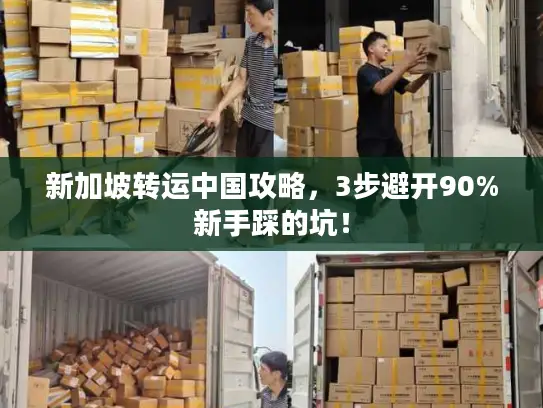 新加坡转运中国攻略，3步避开90%新手踩的坑！