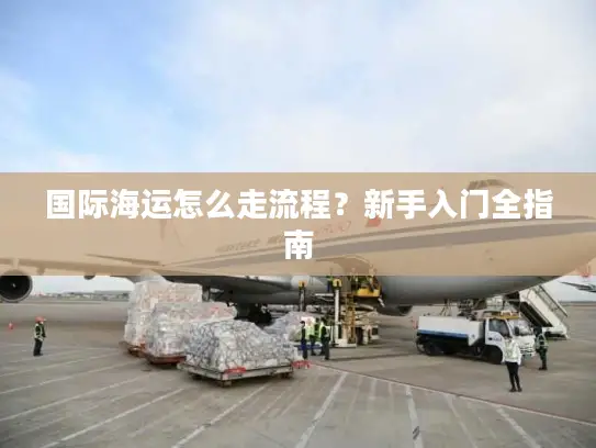 国际海运怎么走流程？新手入门全指南