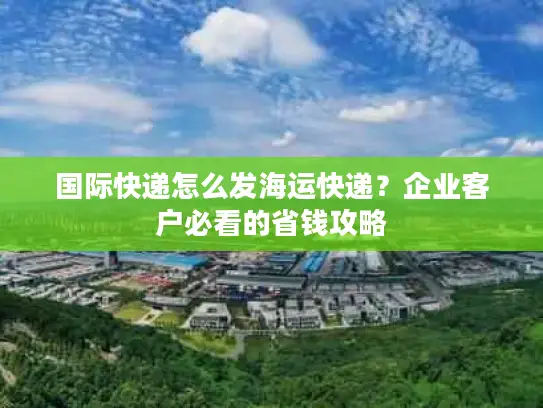 国际快递怎么发海运快递？企业客户必看的省钱攻略