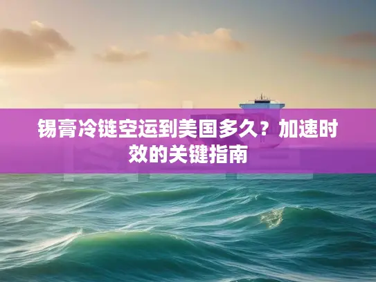 锡膏冷链空运到美国多久？加速时效的关键指南