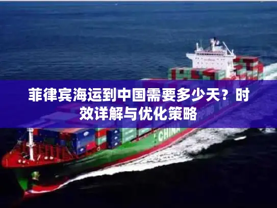 菲律宾海运到中国需要多少天？时效详解与优化策略
