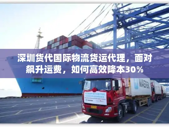 深圳货代国际物流货运代理，面对飙升运费，如何高效降本30%
