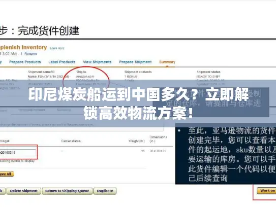 印尼煤炭船运到中国多久？立即解锁高效物流方案！