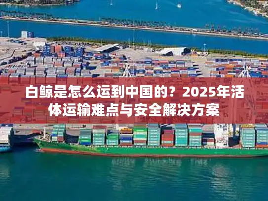白鲸是怎么运到中国的？2025年活体运输难点与安全解决方案