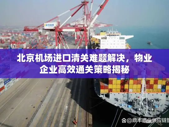 北京机场进口清关难题解决,物业企业高效通关策略揭秘 北京机场进口清关难题解决,物业企业高效通关策略揭秘