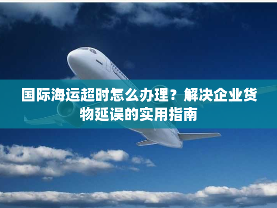 国际海运超时怎么办理？解决企业货物延误的实用指南