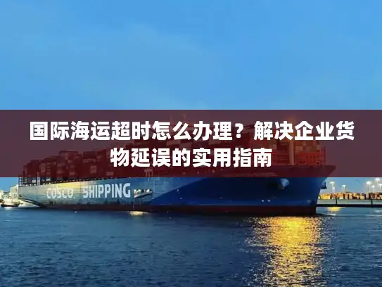 国际海运超时怎么办理？解决企业货物延误的实用指南