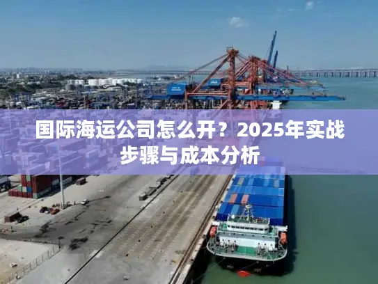国际海运公司怎么开？2025年实战步骤与成本分析