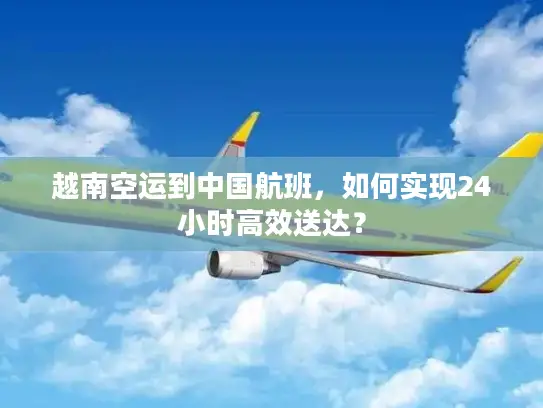 越南空运到中国航班，如何实现24小时高效送达？