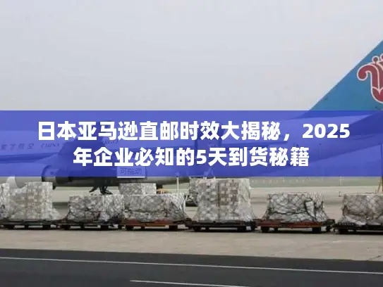 日本亚马逊直邮时效大揭秘，2025年企业必知的5天到货秘籍