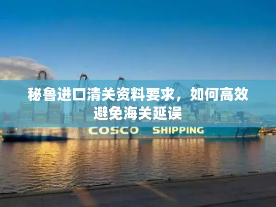 秘鲁进口清关资料要求，如何高效避免海关延误