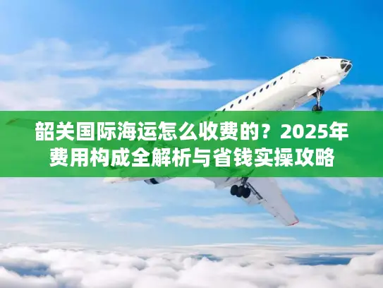韶关国际海运怎么收费的？2025年费用构成全解析与省钱实操攻略