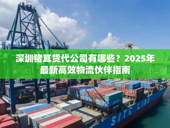 深圳猪耳货代公司有哪些？2025年最新高效物流伙伴指南