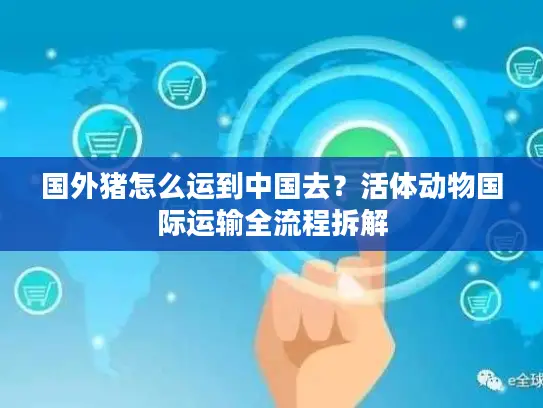 国外猪怎么运到中国去？活体动物国际运输全流程拆解